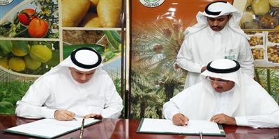 «الزراعة»: مشاريع لتحسين ظروف صغار المزارعين 