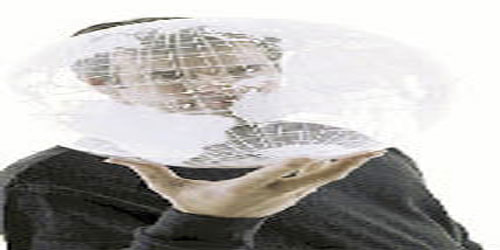 الإدارة في السيرة 