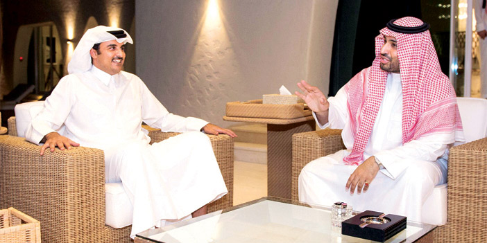  ولي ولي العهد خلال اجتماعه مع أمير قطر في الدوحة