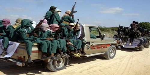 مقتل جنديين و11 من أفراد جماعة الشباب الإرهابية في كينيا  
