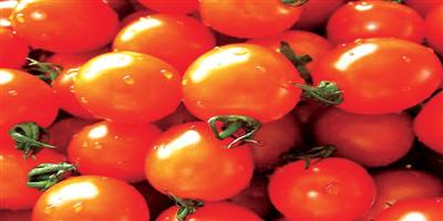أسعار الطماطم تقفز 200 % في أسواق خميس مشيط 