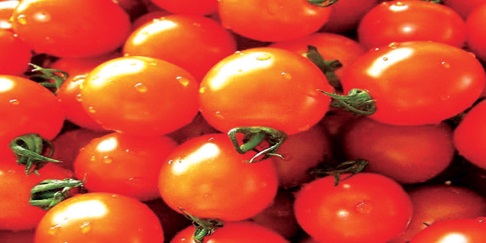 أسعار الطماطم تقفز 200 % في أسواق خميس مشيط 