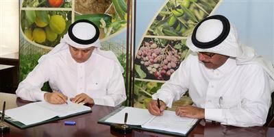 «الزراعة» تعيد تأهيل محجر ميناء الملك عبدالعزيز بالمنطقة الشرقية 