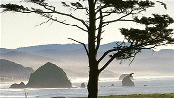 من عزّ نفسه وجدها 