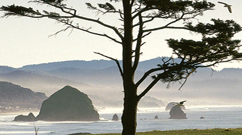 من عزّ نفسه وجدها 