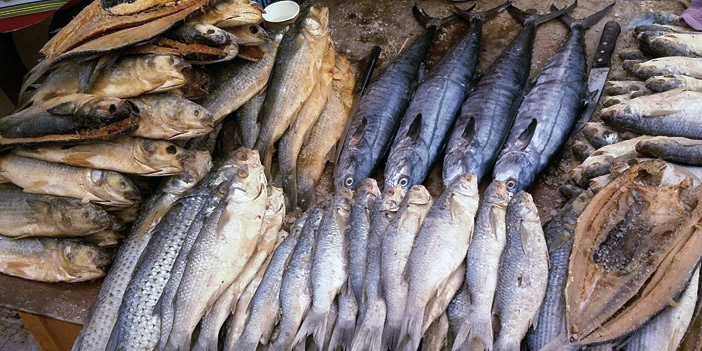 «الجزايري».. أشهر أنواع السمك المالح في عيد جازان 