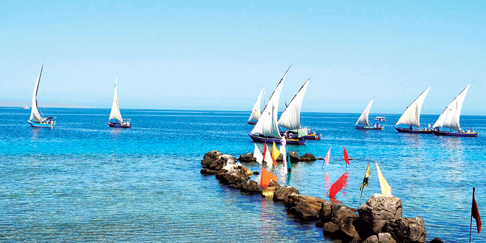  القوارب الشراعية المشاركة في سباق مهرجان أملج التراثي البحري
