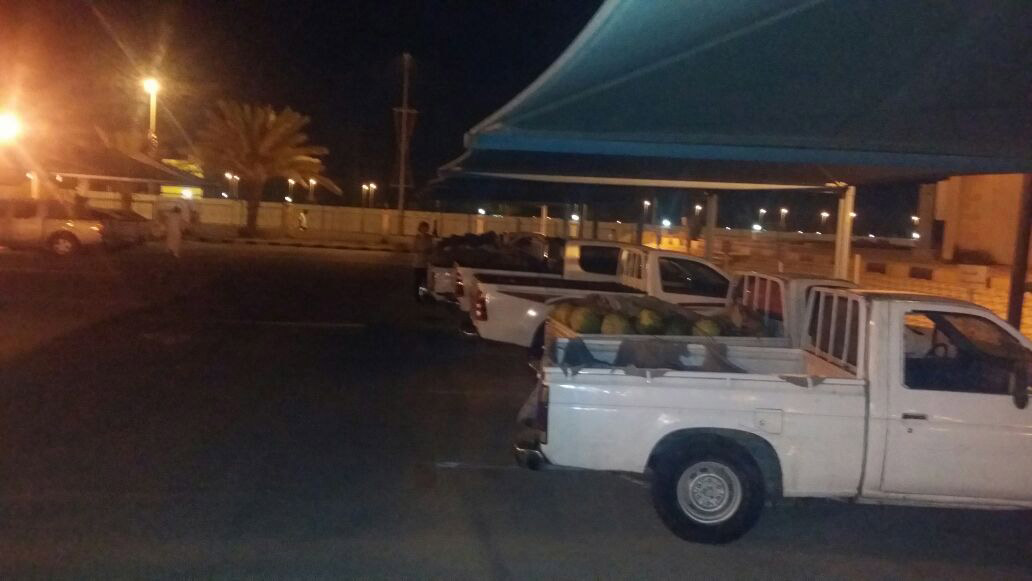 بلدية الجبيل تضبط 10 سيارات مخالفة تبيع الحبحب (البطيخ) بحوزة جائلين 
