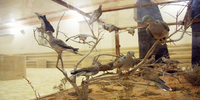 عادة الدنيا 