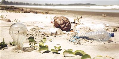 المخلفات البلاستيكية في المحيطات تهدد حياة الطيور البحرية حول العالم 
