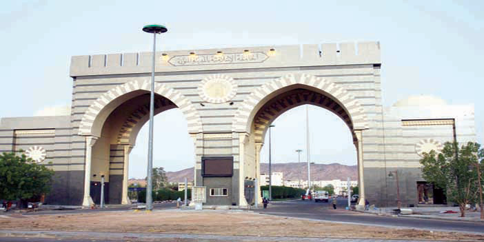 بلغوا خمسين ألف خريج.. أكاديميون متخصّصون في العلوم الشرعية لـ«الجزيرة»: 