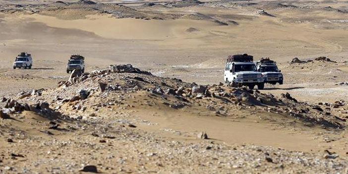 مكسيكو تطالب بتحقيق سريع.. وشكري يؤكد أن مواطنيهم تواجدوا في منطقة محظورة 