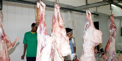 المسالخ المتنقلة: نحر 7526 أضحية وإتلاف كلي لخمس 