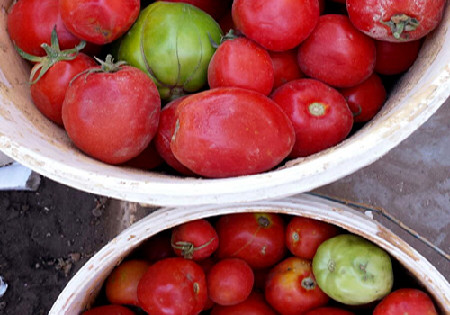  العبوات غير صالحة ومخالفة للاشتراطات الصحية