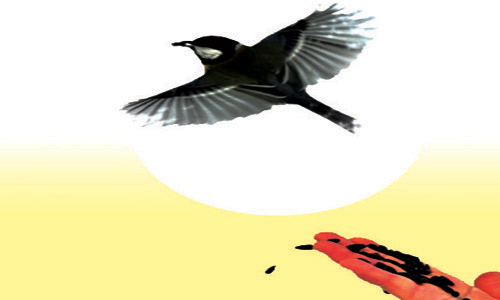 تاكل وتشرب معي 