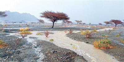 أمطار غزيرة على مراكز الشبحة بمحافظة أملج 