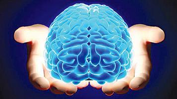 الذكاء لا يرتبط بكبر حجم الدماغ 
