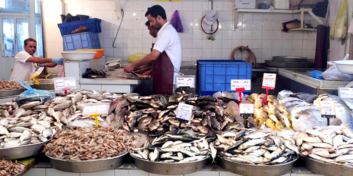  محال الأسماك بالدمام تم تفتيشها