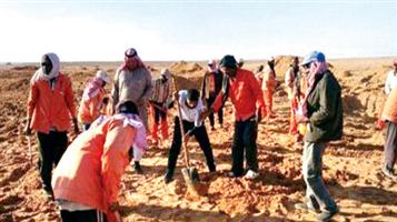 العدد النهائي: 3 أحياء و8 وفيات 