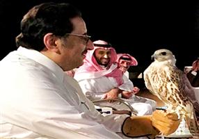 صورة المحمدين.. عندما تجتمع الصقور 