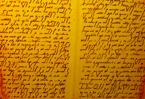 الوثائق البردية وموضوعاتها 