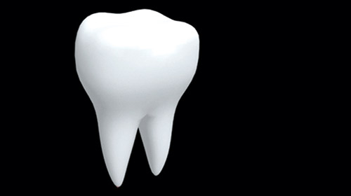 نصائح بوضع السن المخلوعة في حليب بارد لإعادة زرعها  