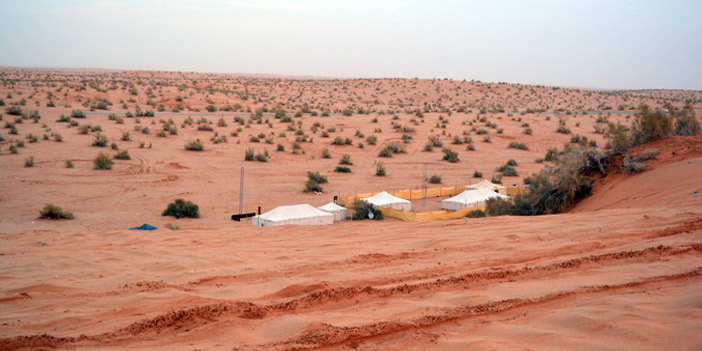  عدد من مخيمات المتنزهين