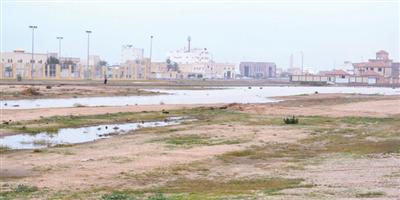 الحالة المطرية تروي الفياض والشعاب في محافظة الرس 