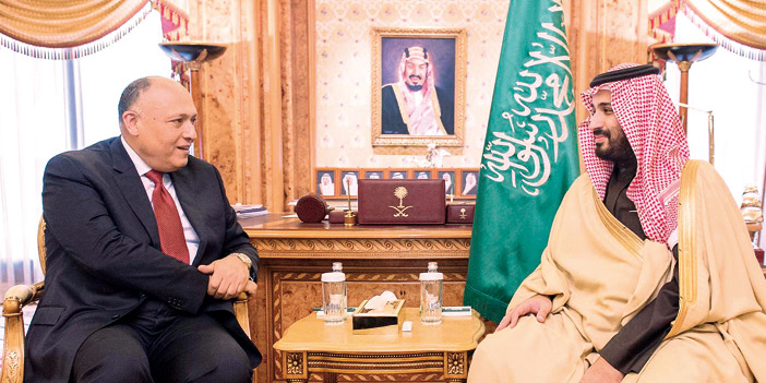  الأمير محمد بن سلمان مستقبلاً الوزير شكري