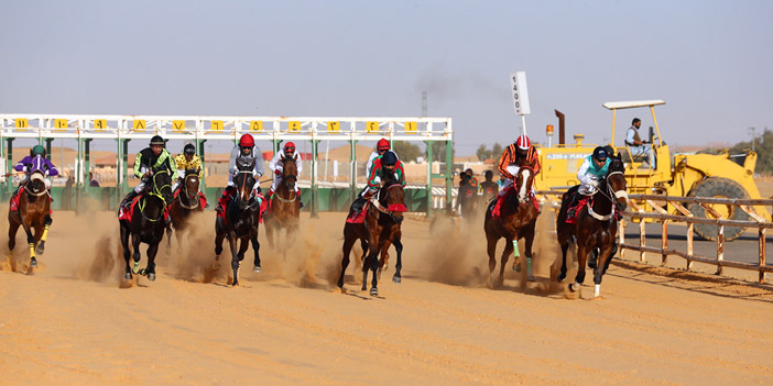 في أولى انطلاقات الموسم.. الجواد «مجلاد» يظفر بكأس فروسية الجوف 