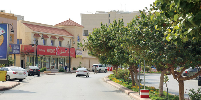 نفذتها أمانة الرياض خلال العام الماضي 