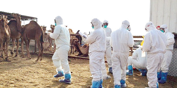  جولات للفرق البيطرية في الموقع