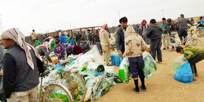 الحملة السعودية تكمل توزيع المساعدات الشتوية على اللاجئين السوريين في الزعتري 