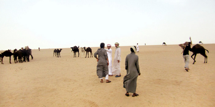  مشهد صحراوي لرفاق الرحلة وأحد رعاة الإبل