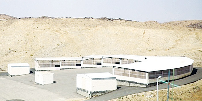  سوق المواشي الجديد في بني سعد