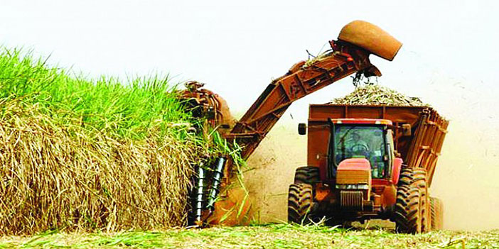 الفاو: استقرار أسعار الغذاء العالمية في فبراير 