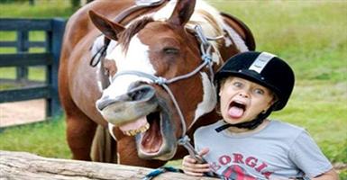 الخيول تكشف مشاعرك بعينها اليسرى 