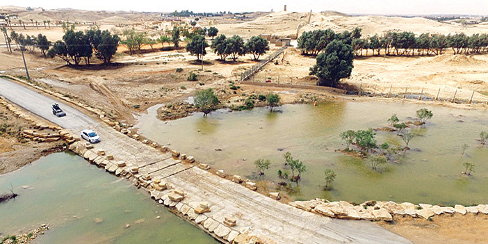 لقطة علوية لطريق داخل متنزه الملك سلمان وتبدو آثار السيول أمس