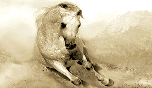 في مديح السؤال 