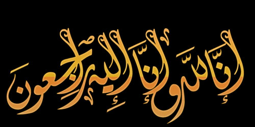 الكبير الذي رحل 