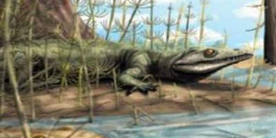 اكتشاف حفرية لحيوان زاحف عمرها 250 مليون عام 