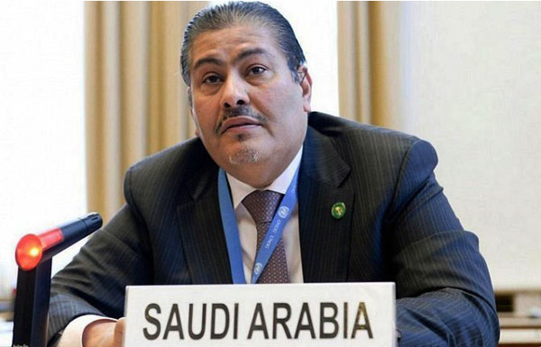 جددت أمام مجلس حقوق الإنسان إدانتها لاستمرار وتسارع الاستيطان وأكدت تمسكها بالبند السابع 