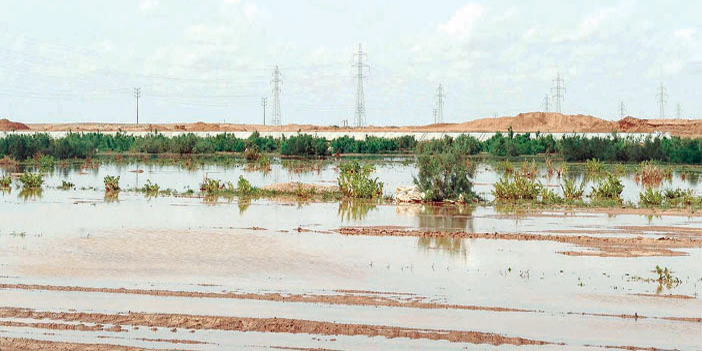 أمطار غزيرة على منطقة تبوك فجر أمس 