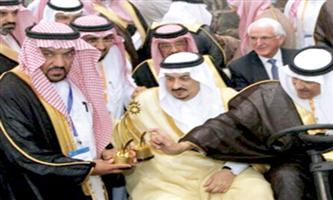 المذنب أفضل وجهة سياحية لعام 2015م 