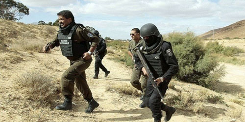 الجيش التونسي يكتشف مخيماً إرهابياً بالشمال الغربي 