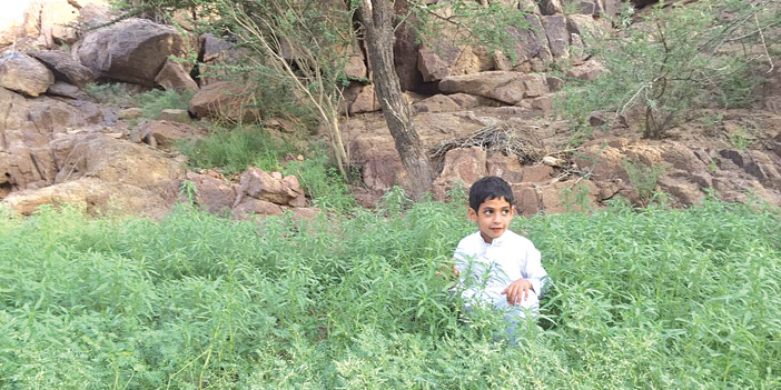   طفل يقف على الأرض الخضراء