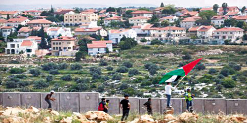  الاحتلال يوسع مستوطناته على حساب الأرض الفلسطينية