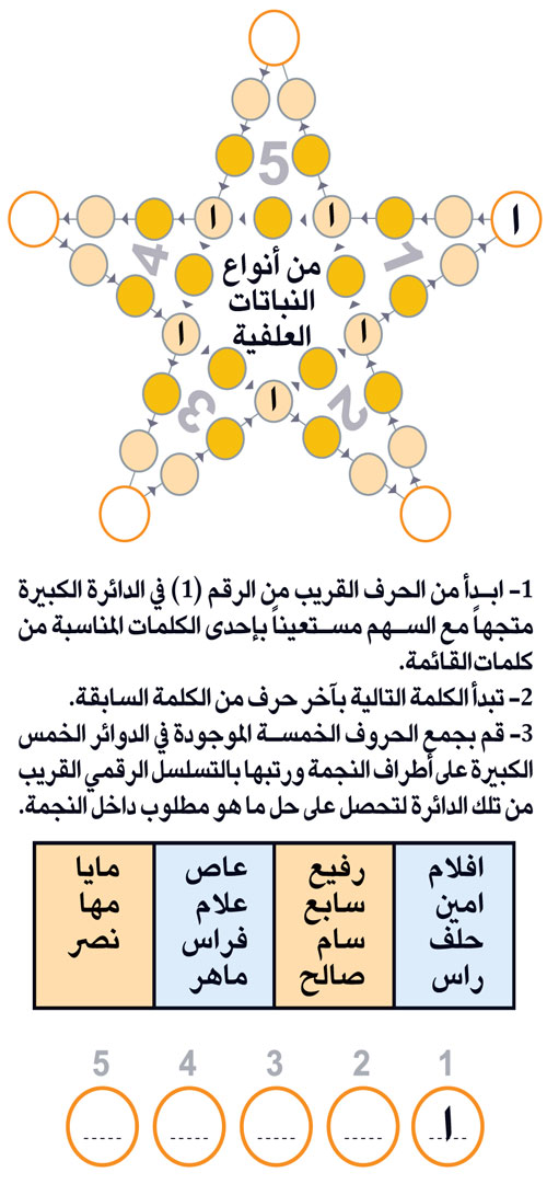 النجمة 