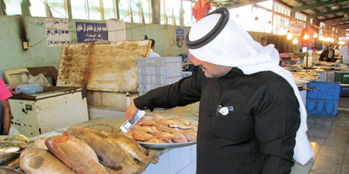  مراقب يفحص الأسماك في سوق القطيف