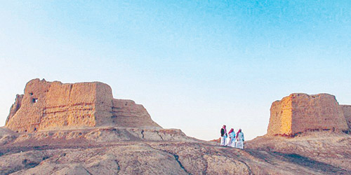   قلعة سالم بن شبكان التاريخية في بيشة